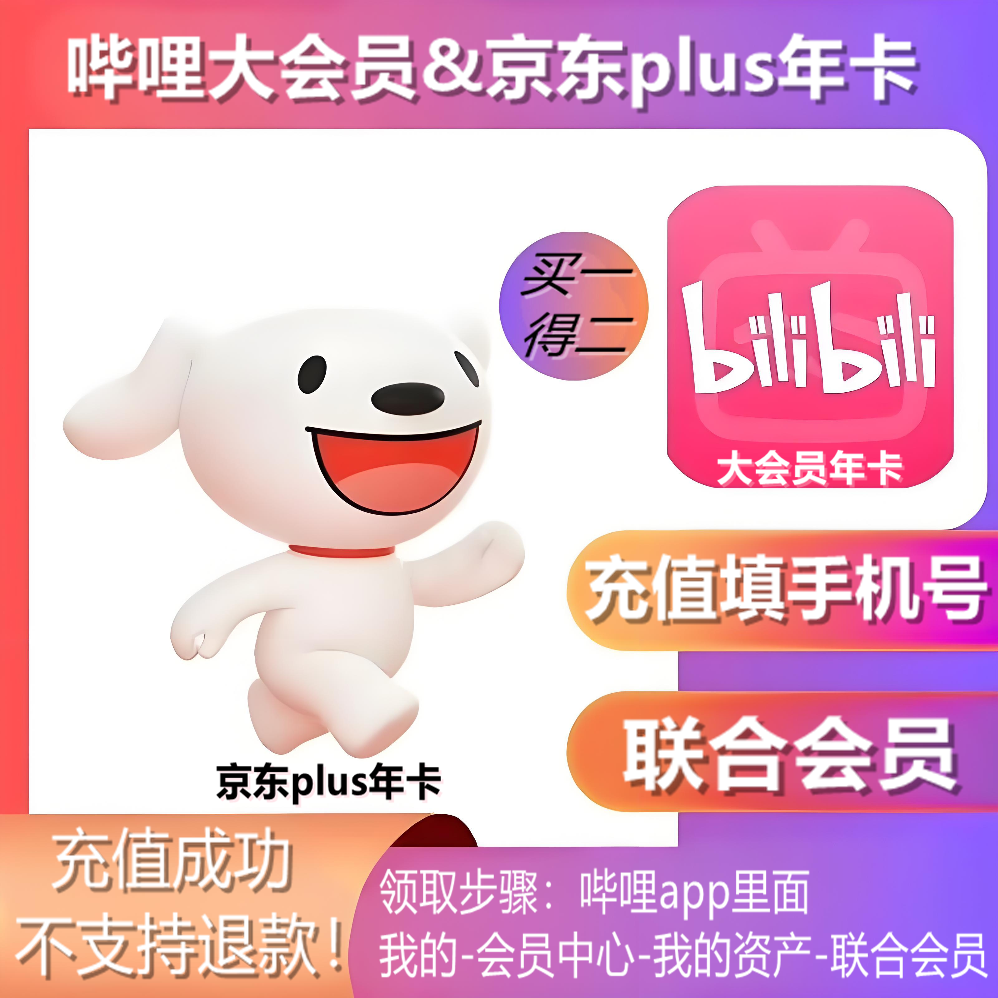 【自动充值】哔哩哔哩会员年卡+京东plus会员年卡